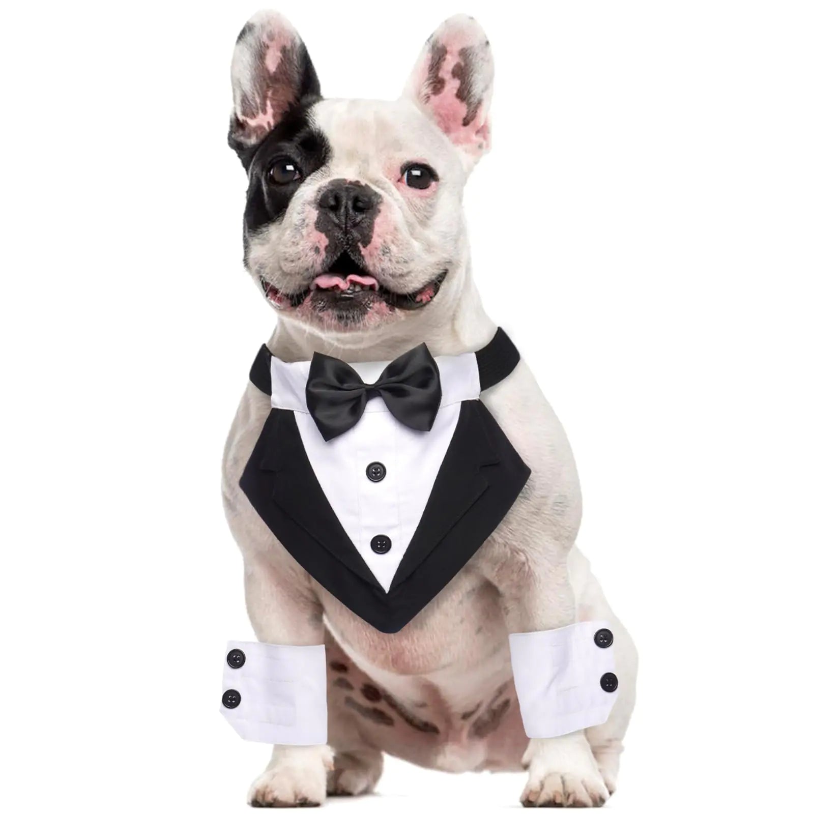 Dog Tuxedo & Cuffs Set – Medium Formal Dog Wedding Outfit