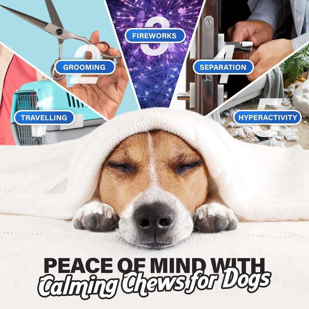 Calming Chews for Dogs – Anxiety Relief, 90 Pcs, Chicken Flavor