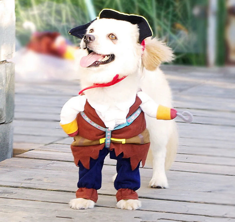 Pirate Dog Costume for Teddy Dogs