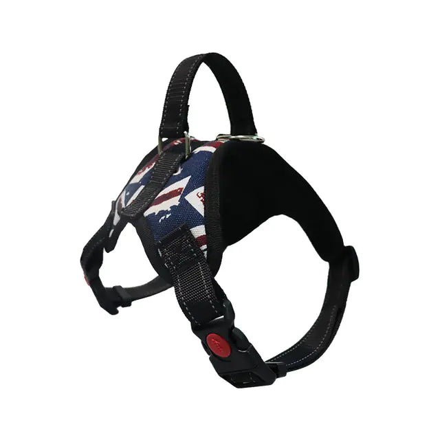 Adjustable Dog Harness and Reflective Leash Set