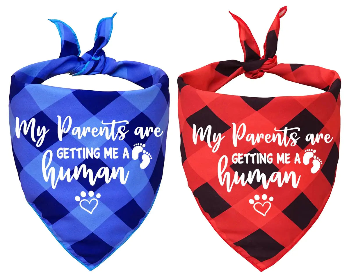 “My Parents Are Getting Me a Human” Plaid Dog Bandanas (Pack of 2)