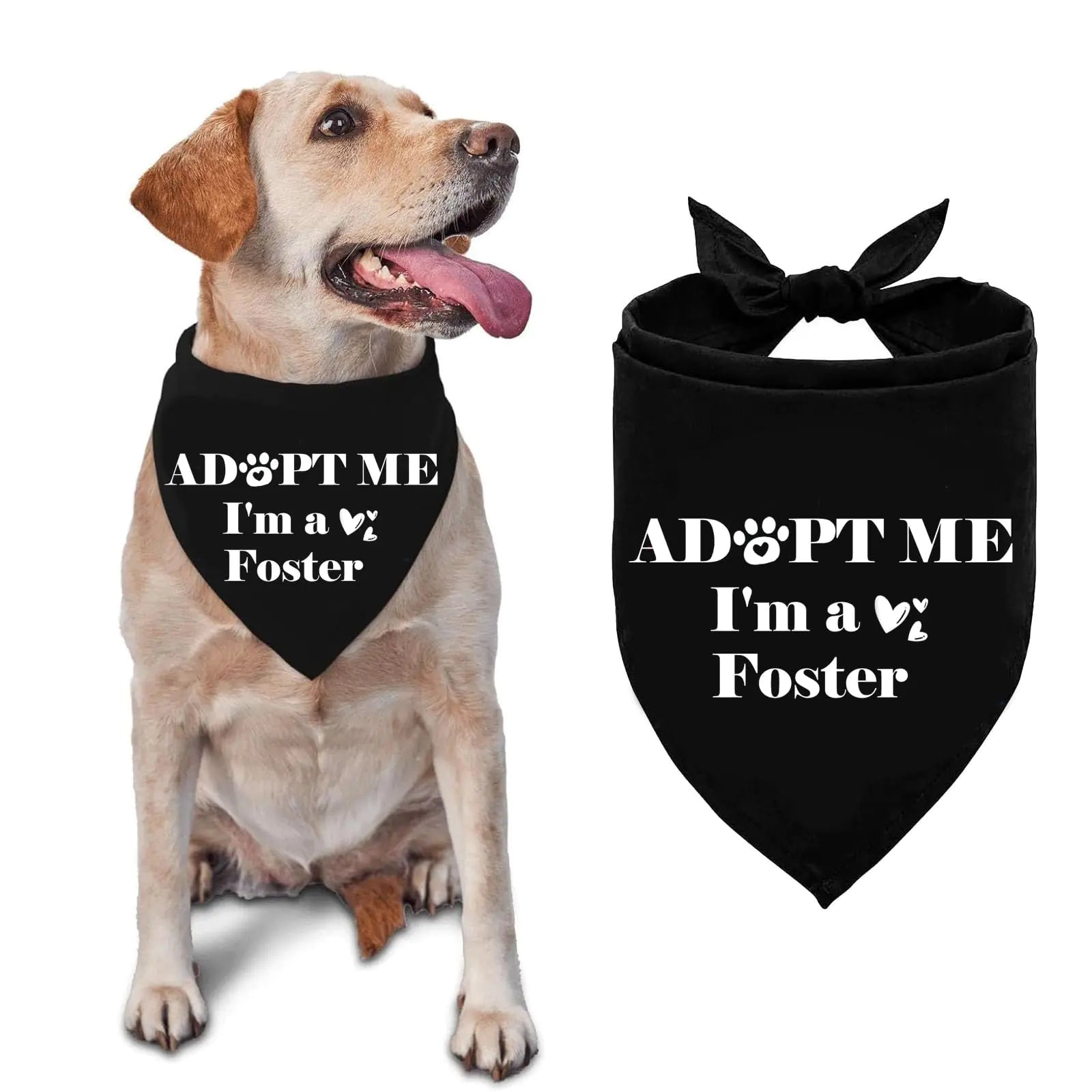 Adopt Me Im a Foster Dog Bandana Adopted Dog Bandana Baby Dog Announcement Dog Bandana Funny Dog Bandana for Dogs Cats Pets Accessories