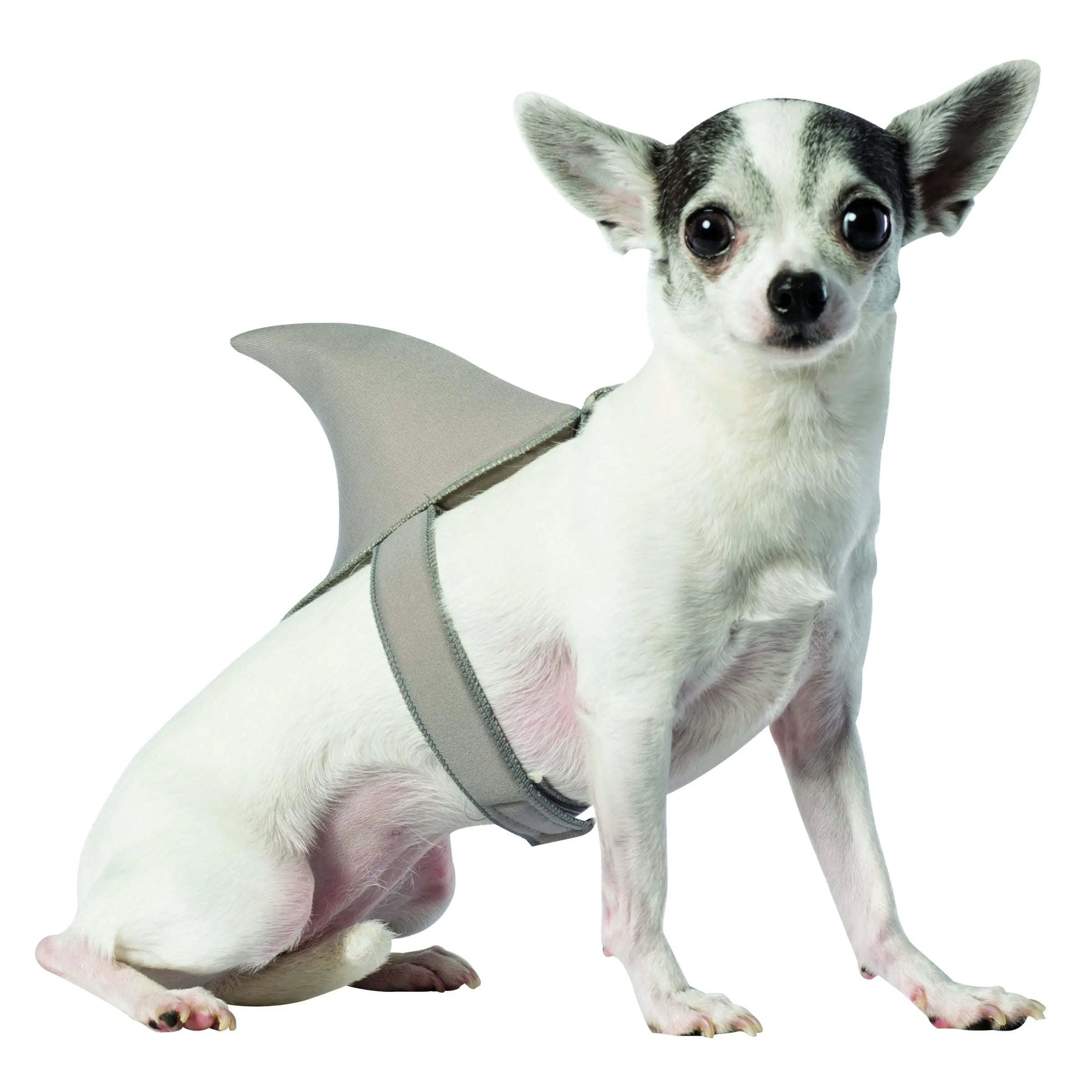 Rasta Imposta Shark Fin Dog Costume Medium/Large
