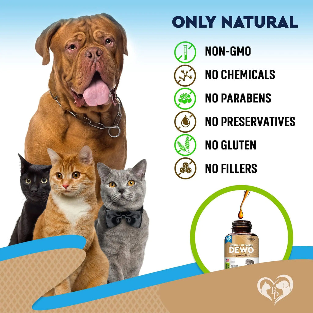 Natural Worm Treatment with Probiotics for Dogs & Cats – Daily Herbal Liquid Medicine