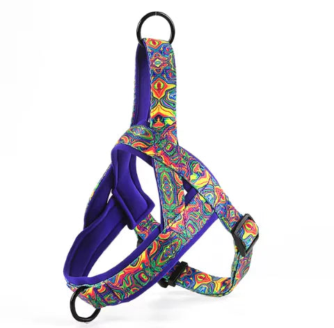 Groovy Dog Harness