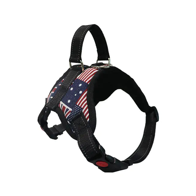 Adjustable Dog Harness and Reflective Leash Set