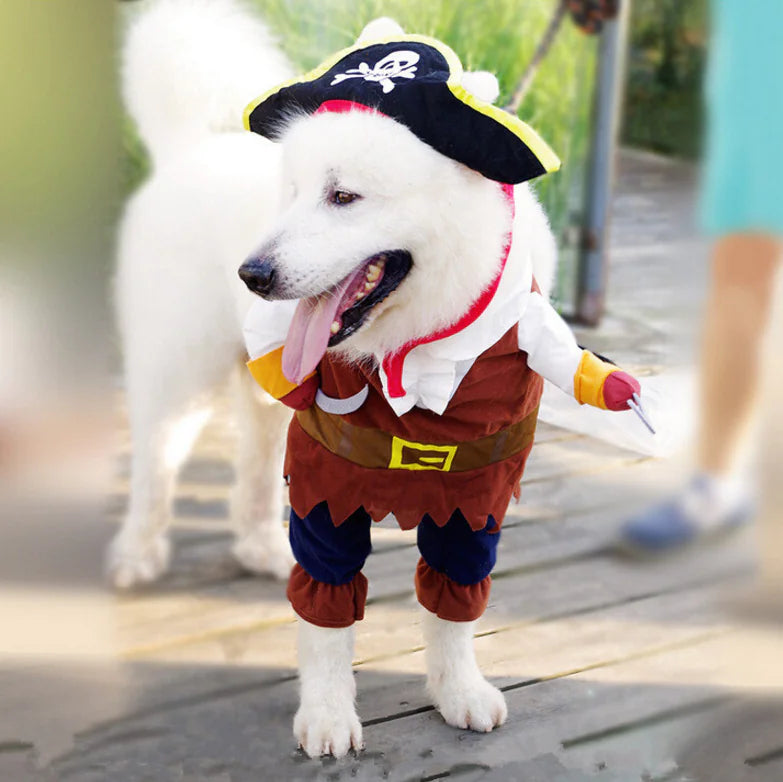Pirate Dog Costume for Teddy Dogs