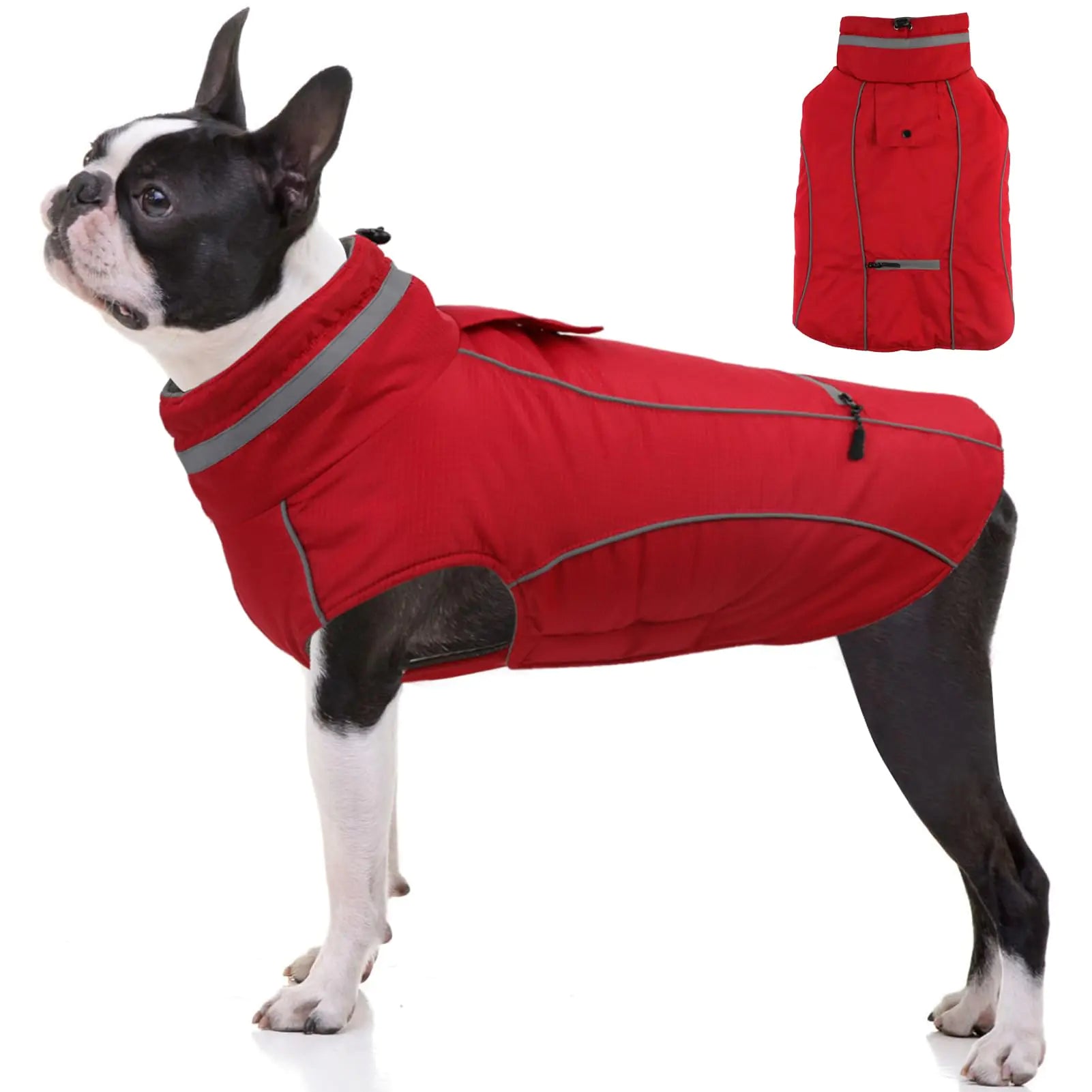 PETDSH Dog Coat Warm Dog Jacket Reflective Adjustable Windproof Dog Turtleneck Clothes Dog Winter Coat Paded Dog Cold Weather Coats Waterproof Windproof Dog Snow Jacket Clothes (RedM)