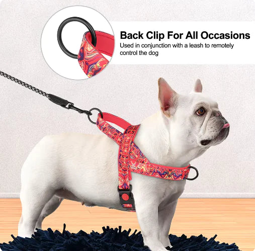 Groovy Dog Harness