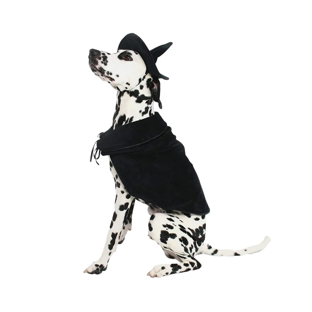 Midlee Halloween Witch Cape and Hat Dog Costume (XXX-Large)