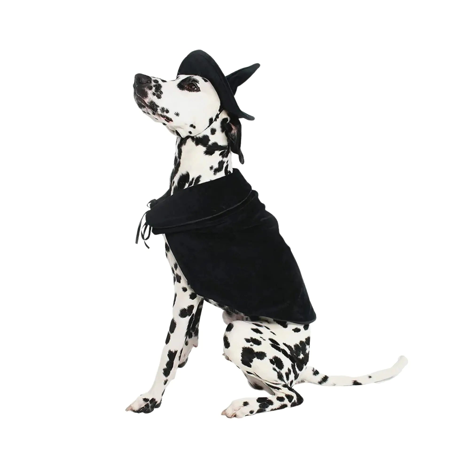 Midlee Halloween Witch Cape and Hat Dog Costume (XXX-Large)