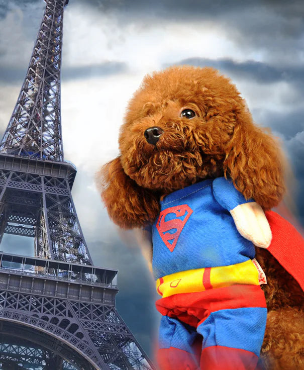 Pet Dog Costume Outfit for Small Dogs