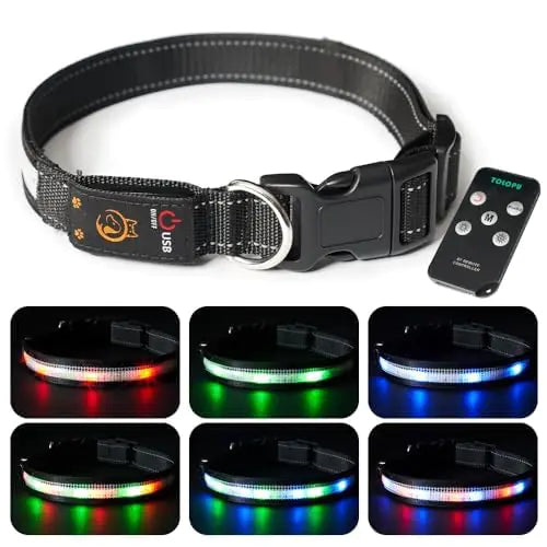 Light-Up LED Dog Collar – Large Size