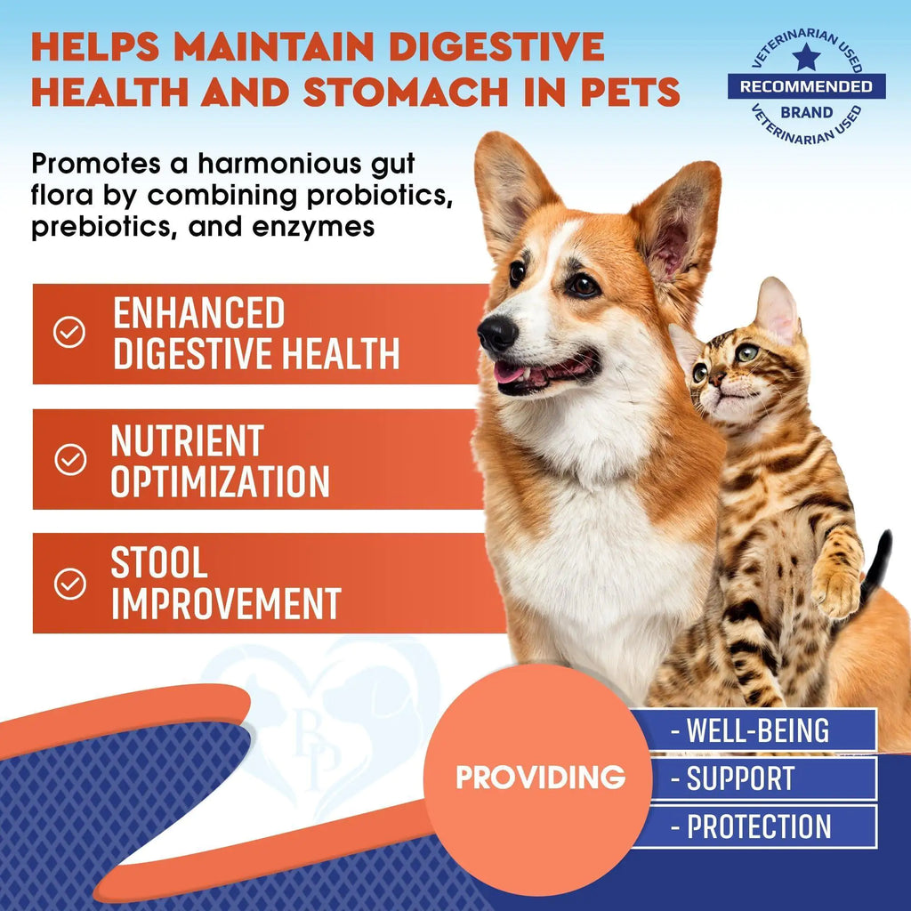 Probiotics & Prebiotics with Enzymes for Dogs and Cats – Digestive & Gut Flora Health Supplement