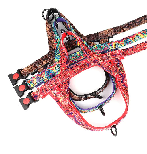 Groovy Dog Harness