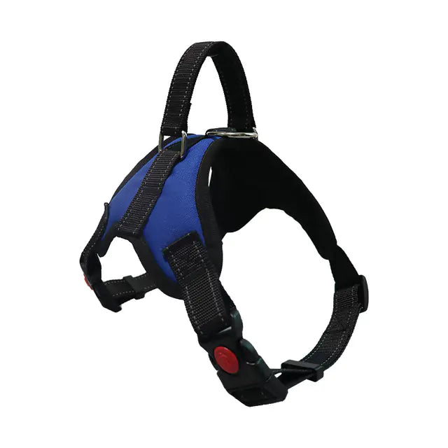Adjustable Dog Harness and Reflective Leash Set