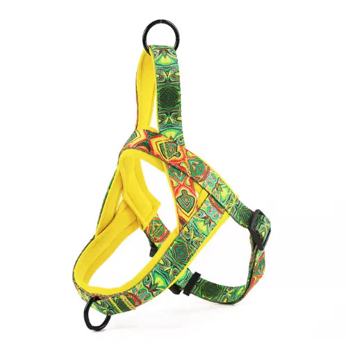 Groovy Dog Harness