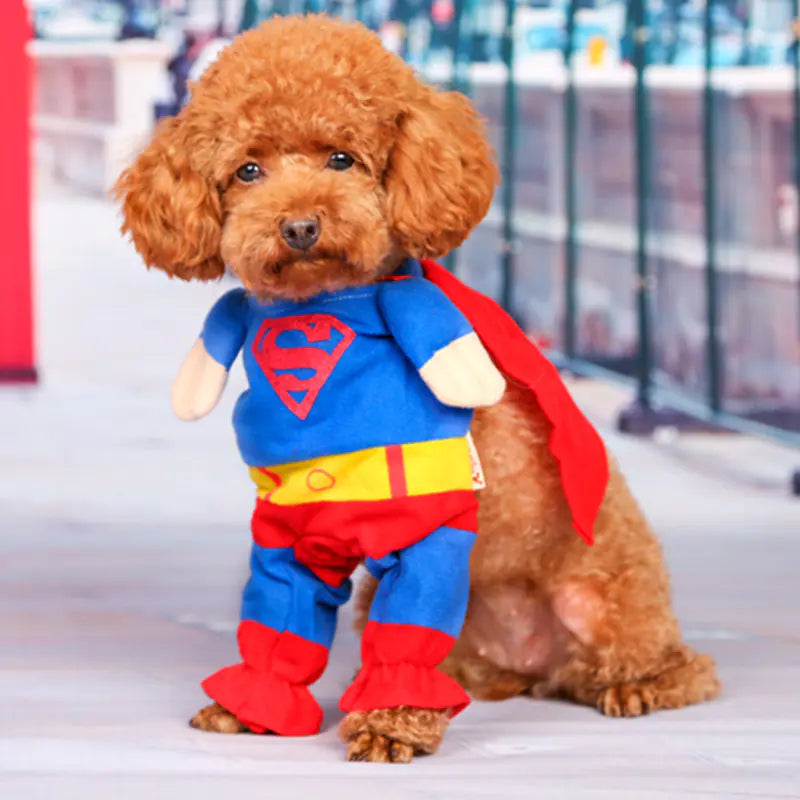 Pet Dog Costume Outfit for Small Dogs
