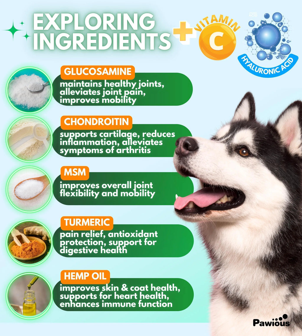 Hip & Joint Supplement for Dogs – 120 Chews