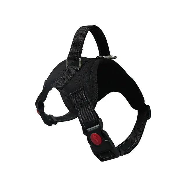 Adjustable Dog Harness and Reflective Leash Set