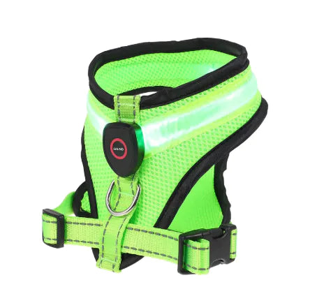 LED Dog Harness