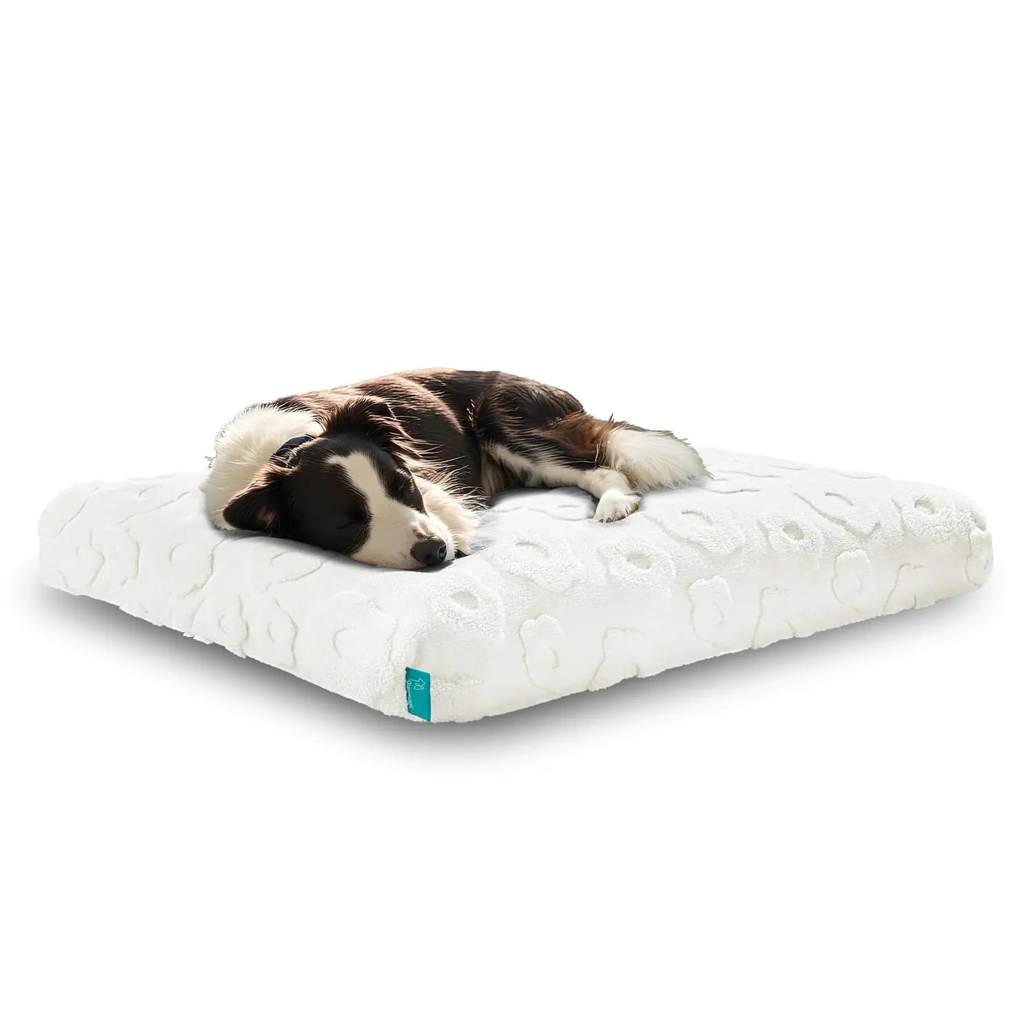 Pawfect Memory Foam Orthopedic Bed